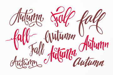 Vector set of handwritten inscriptions Autumn and Fall. Seasonal calligraphic lettering isolated on background. Hand-drawn text for design of autumnal banners and flyers.