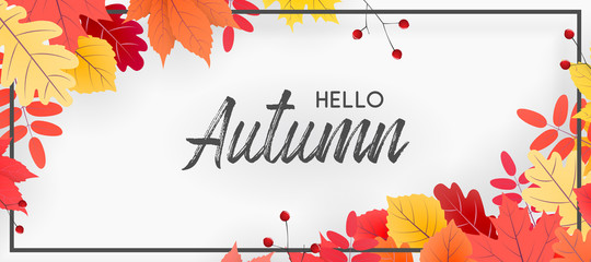 Hello autumn falling leaves. Autumnal foliage fall and poplar leaves. Autumn design. Templates for placards, banners, flyers, presentations, reports.
