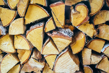 wood stump background Closeup of logs of trees outdoor