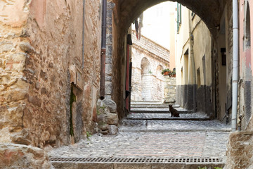 A cat in an old street