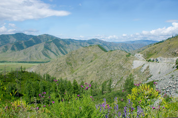Fototapeta na wymiar The pass in Mountain Altai a beautiful landscape