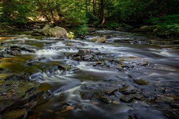 Obraz premium Rippling Brook in the Forest