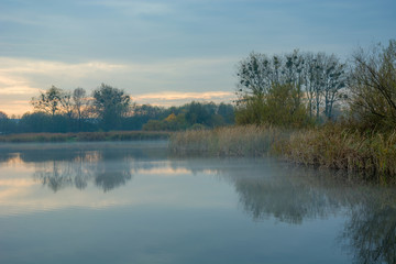 Fototapeta na wymiar Fog over the lake, trees and reeds
