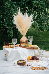 Appetizers table for picnic, full of snack. White cloth spread over lawn