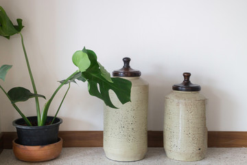 Tropical green plant pot interior