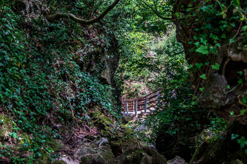 Vistdal sentiero 247G li Vurgacci a Pioraco nelle Marche in Italia