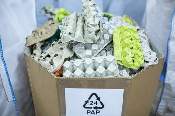 Sorting recyclables. The sorted papier mache - paper pulp egg trays, chewed paper, is placed in a container with the appropriate marking.