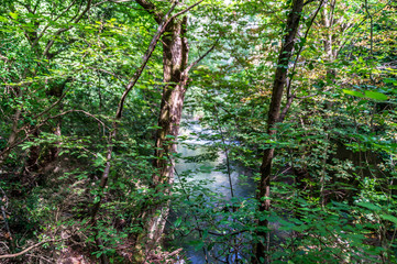 Vistdal sentiero 247G li Vurgacci a Pioraco nelle Marche in Italia