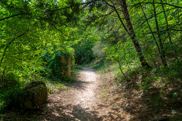 Fototapeta premium Vistdal sentiero 247G li Vurgacci a Pioraco nelle Marche in Italia