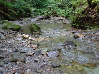 wasserfall mit fluss im wald
