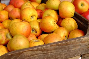 Bio-Äpfel aus dem Vorjahr