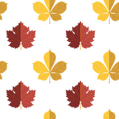 Autumn leaves seamless pattern. Vector illustration