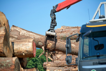 Fototapeta premium Heavy lifting crane loading cut wooden logs Crane operator loading logs on to truck - logs and woodpiles