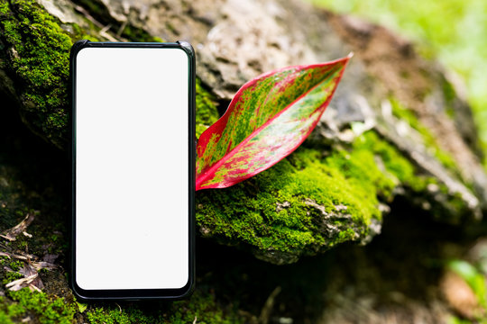 Mobile images, white screens placed in green nature scenes