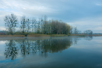 Fototapeta na wymiar Misty lake and autumn trees