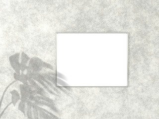 3x4 horizontal Chrome frame for photo or picture mockup on concrete background with shadow of monstera leaves. 3D rendering.