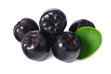 Chokeberry with green leaves isolated on white background. Black aronia