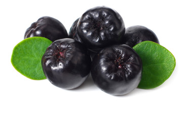 Chokeberry with green leaves isolated on white background. Black aronia