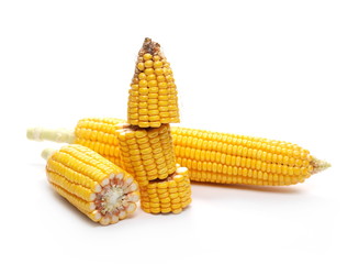 Fresh cob of corn isolated on white background 