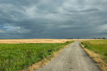 Road through fields and cloudy sky