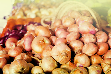  bulb onion on market counter