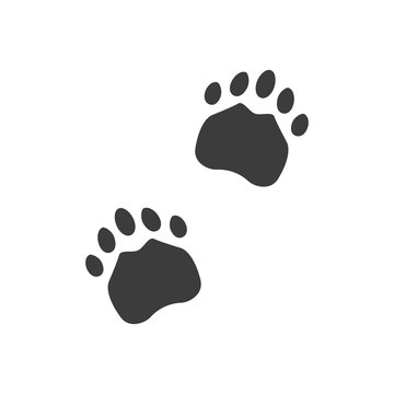 flat animal footprints icon on white background