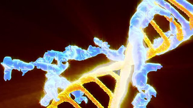 Molting blue to orange DNA double stand represented evolution or mutant, 3D rendered