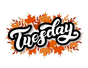Tuesday. Day of the week. Hand drawn lettering. Vector illustration. Best for calendar design