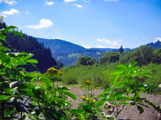 Carpathian landscape