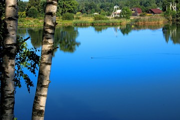 Fototapeta premium shore view of the lake and a duck floating on the smooth surface of the water