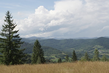  landscape in mountains Carpathians Ukraine