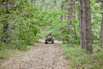 Man riding a yellow quad ATV all terrain vehicle on a sandy forest. Extreme sport motion, adventure, tourist attraction.