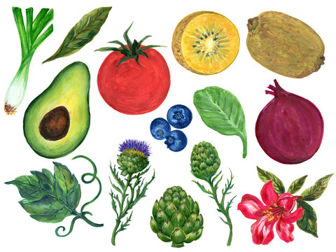 Watercolor hand paint elements eco food organic cafe menu design. natural fresh fruits and vegetable illustration
