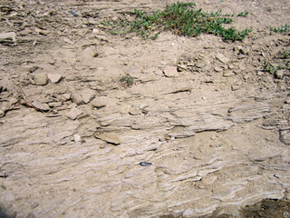 dry cracked earth