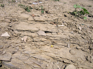 cracked earth texture