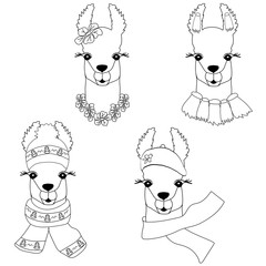Cute llama in different styles. Cute black-white Llama for coloring, childish print for fabric, t-shirt,card.
