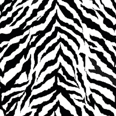 Zebra seamless vector pattern background