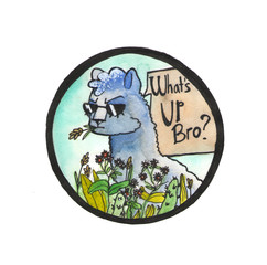 Whats up, Bro says Llama with sunglasses. Funny watercolor sketch cartoon alpaca.