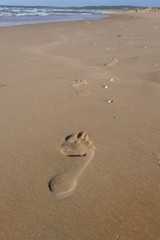 Fototapeta na wymiar Fußspuren im Sand