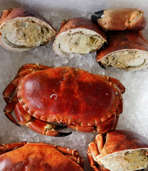 crabes