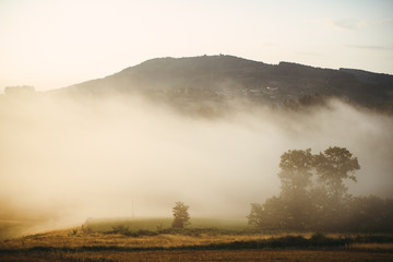 Naklejka premium fog in the mountains