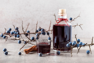 Homemade sloe berry alcohol drink, berries liqueur. Selective focus. Copy space. - obrazy, fototapety, plakaty