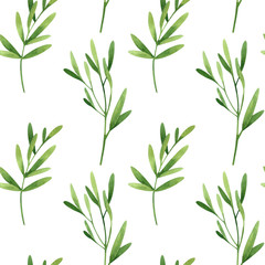 Fototapeta na wymiar Watercolor seamless pattern with green sprigs with leaves on white background. Hand drawn summer illustration. Perfect for textile, wrapping paper