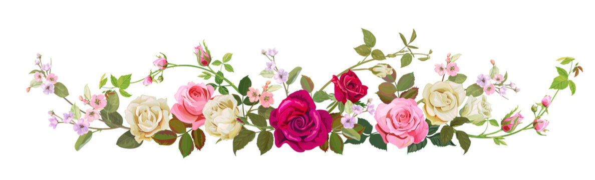 Panoramic view: bouquet of roses, spring blossom. Horizontal border: red, pink, white flowers, buds, green leaves, white background. Digital draw illustration in watercolor style, vintage, vector