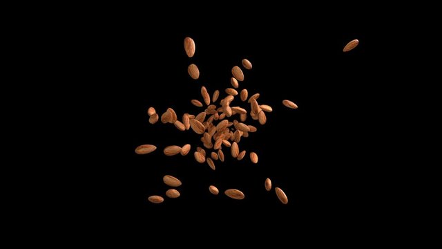 3D animation of a almond flow with alpha layer