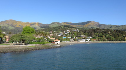 Fototapeta premium Afternoon walk on the beach in Akaroa, New Zealand