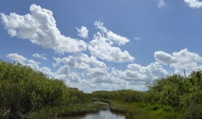 Fototapeta na wymiar Swamp river