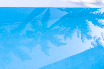 reflets de cocotiers dans piscine bleue 