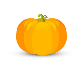 Pumpkin flat vector illustration