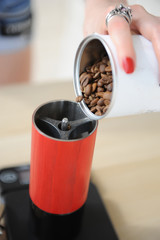 Barista girl pours coffee beens from a white can into a red manual coffee grinder close up